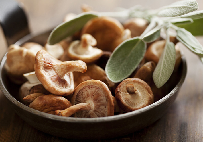 IQF shiitake mantarı işleme teknolojisi